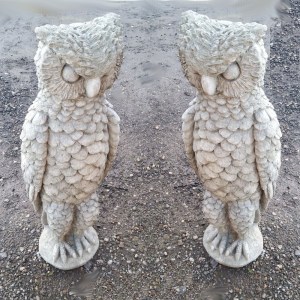 Large_owls